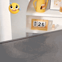 Mini Shell Box for Pills & Jewelry