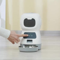 Pet Automatic Feeding Dispenser