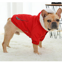 Dog winter coat Pitbull pet