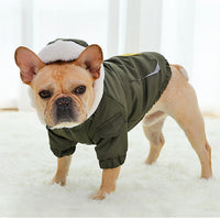 Dog winter coat Pitbull pet