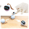 Pet Smart Rotating Ball