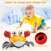 Crawling Crab Toy